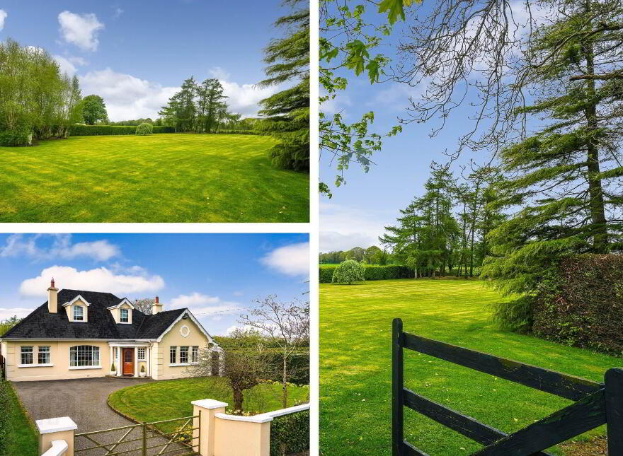 Clonmore, Kildalkey, C15VW88