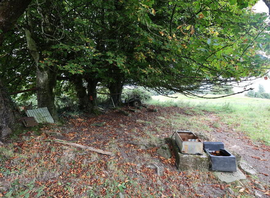 Gainstown, Mullingar, N91WP57