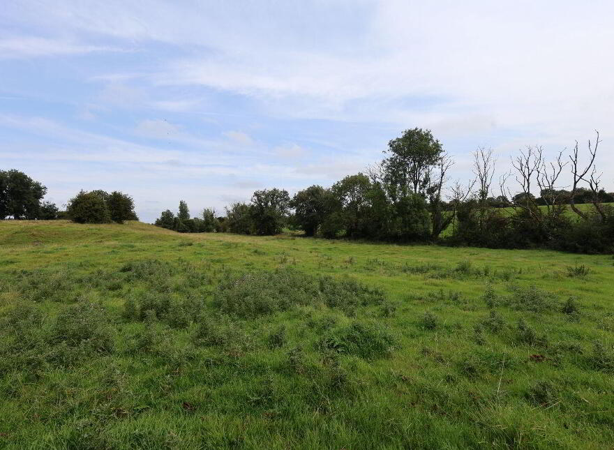 Gainstown, Mullingar, N91WP57