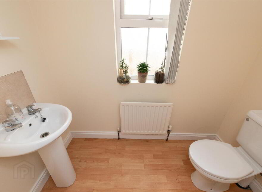 11 Iveagh Court, Dromore, Blackskull, BT25 1SF