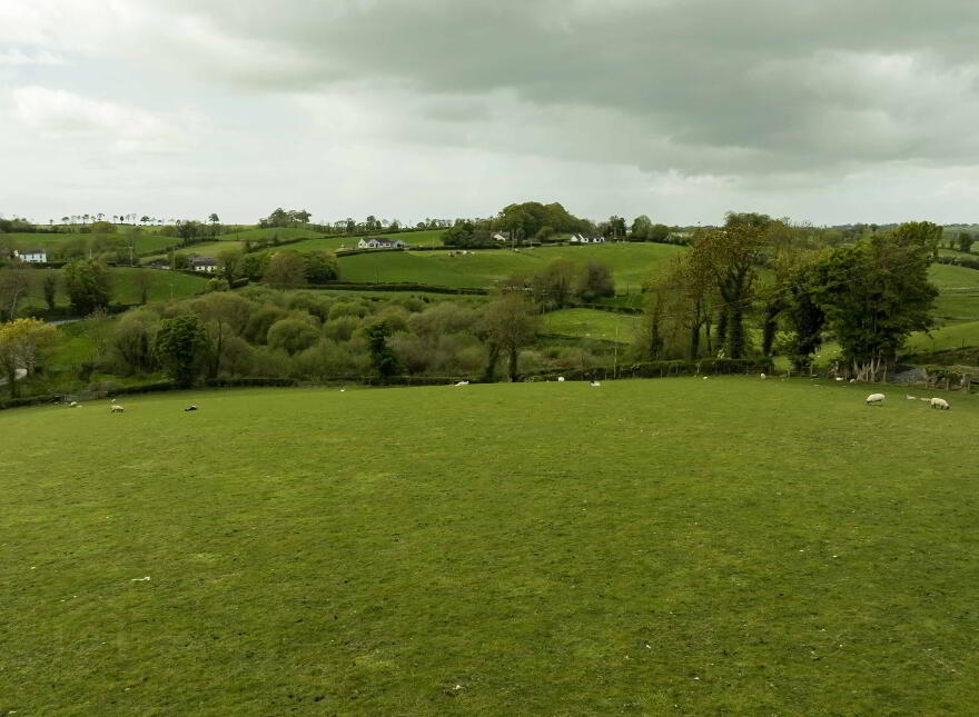 75 Lower Quilly Road, Dromore, BT25 1LJ