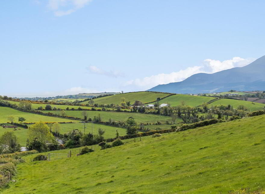 3b Carnreagh Road, Castlewellan, BT31 9NX