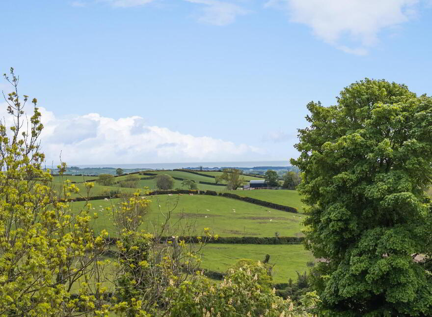 3b Carnreagh Road, Castlewellan, BT31 9NX