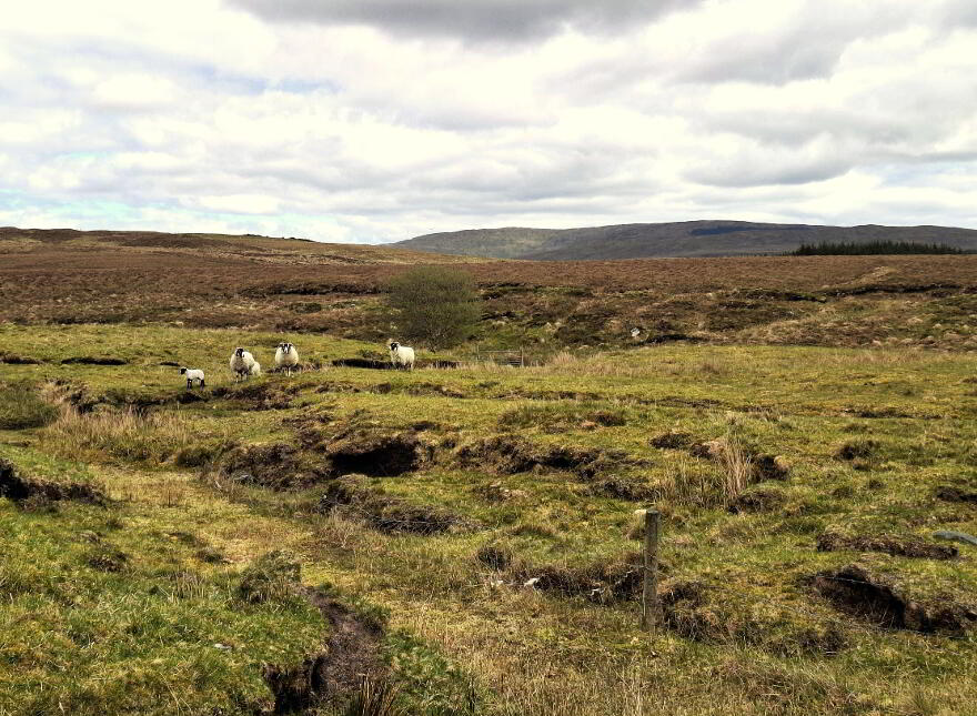 BY PUBLIC AUCTION, Owenteskiny, Glencolumbkille