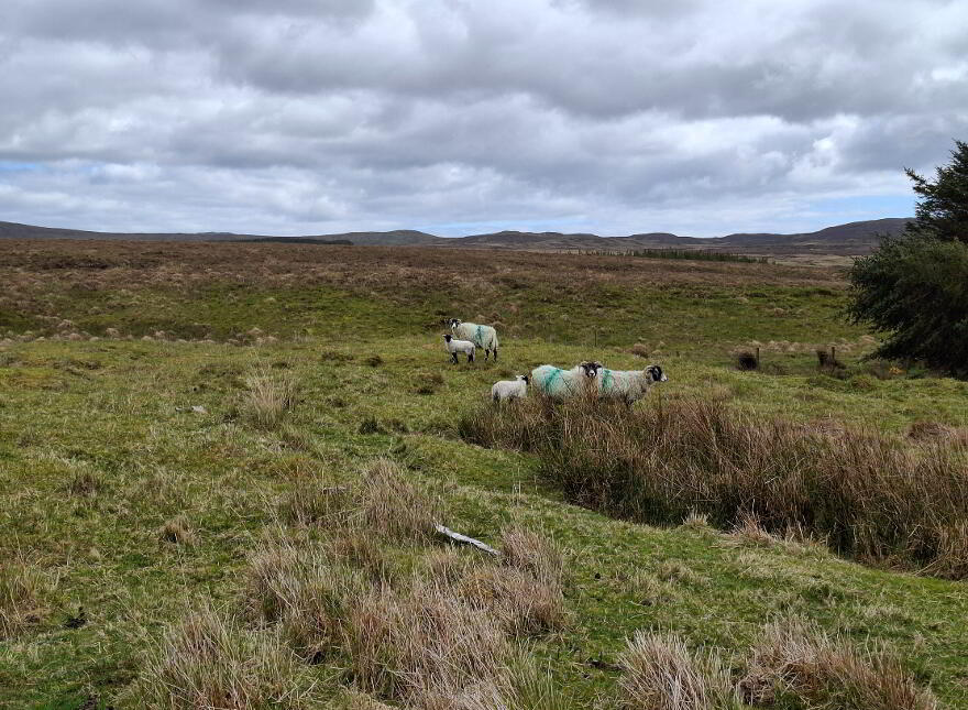 BY PUBLIC AUCTION, Owenteskiny, Glencolumbkille