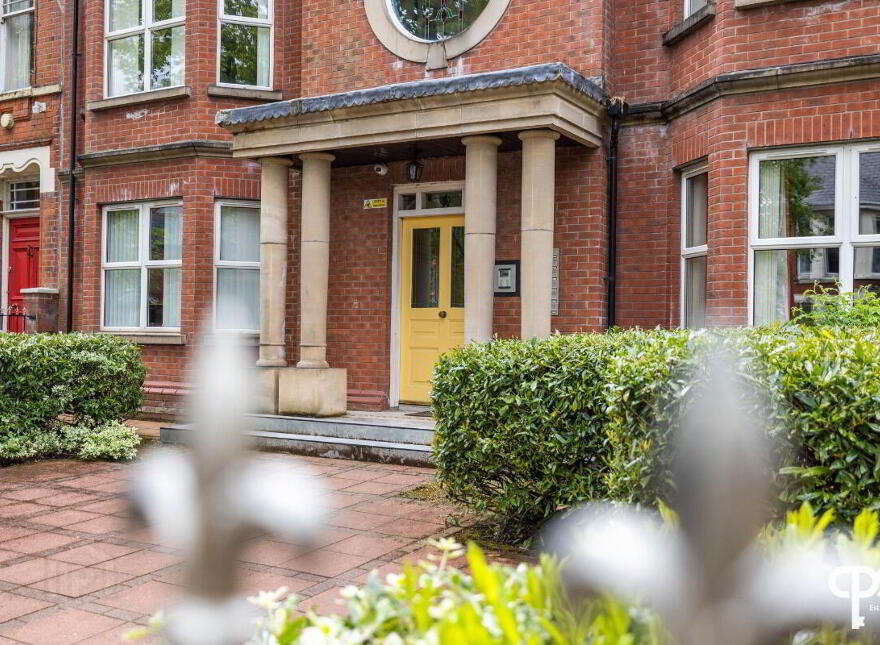 52E Wellington Park, Belfast, BT9 6DP