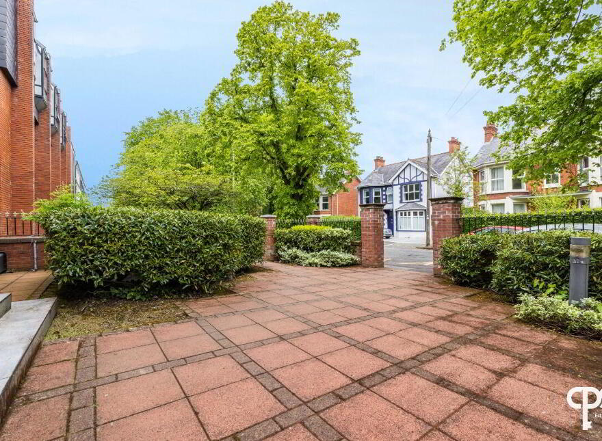 52E Wellington Park, Belfast, BT9 6DP
