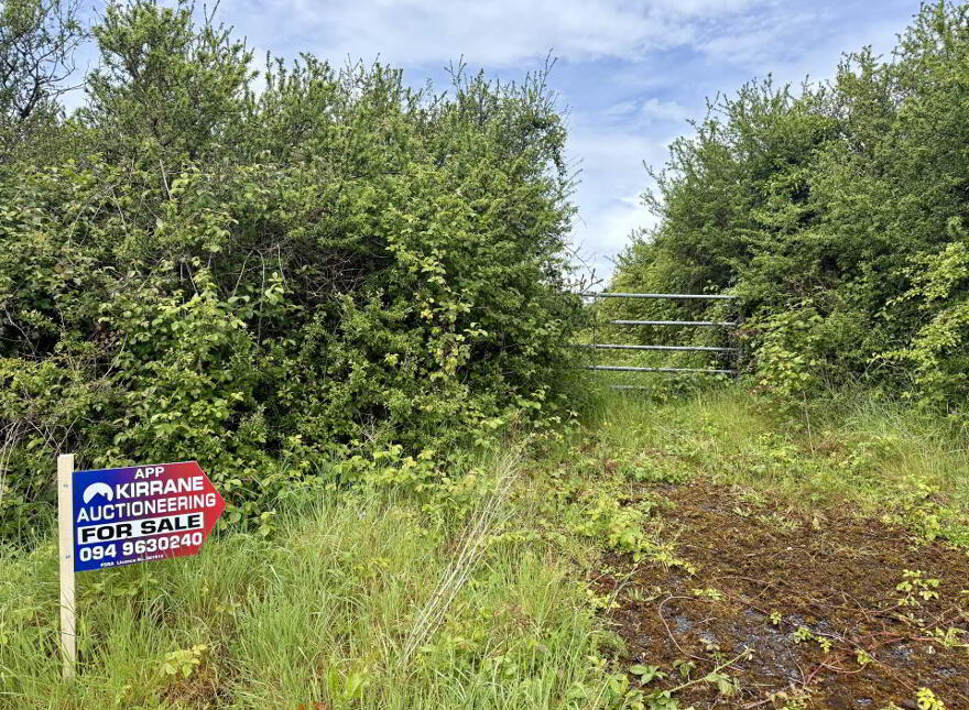Cappalisheen, Kiltoom, N37VH30
