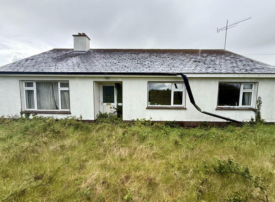 Cappalisheen, Kiltoom, N37VH30