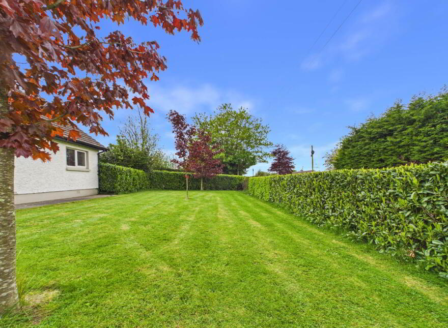 Cappagh, Gaulsmills, X91Y957