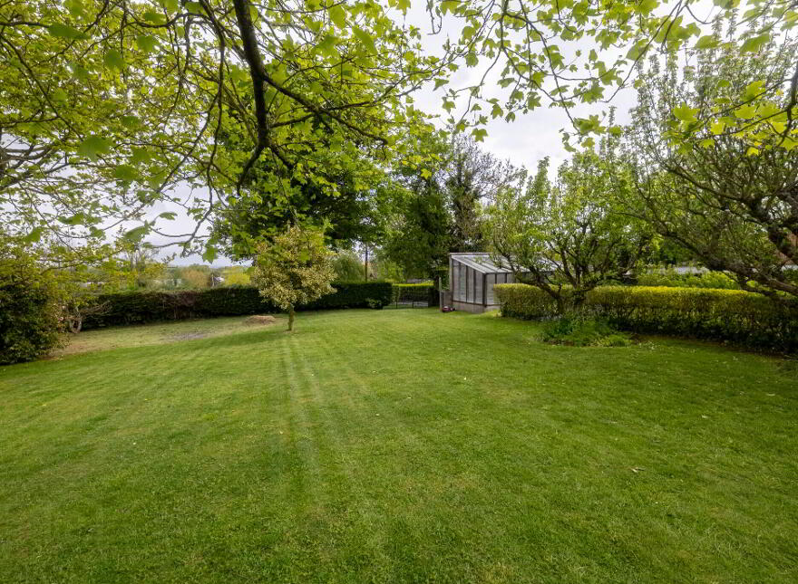 Stradeen, Ballymackney, Inniskeen, A81HD52