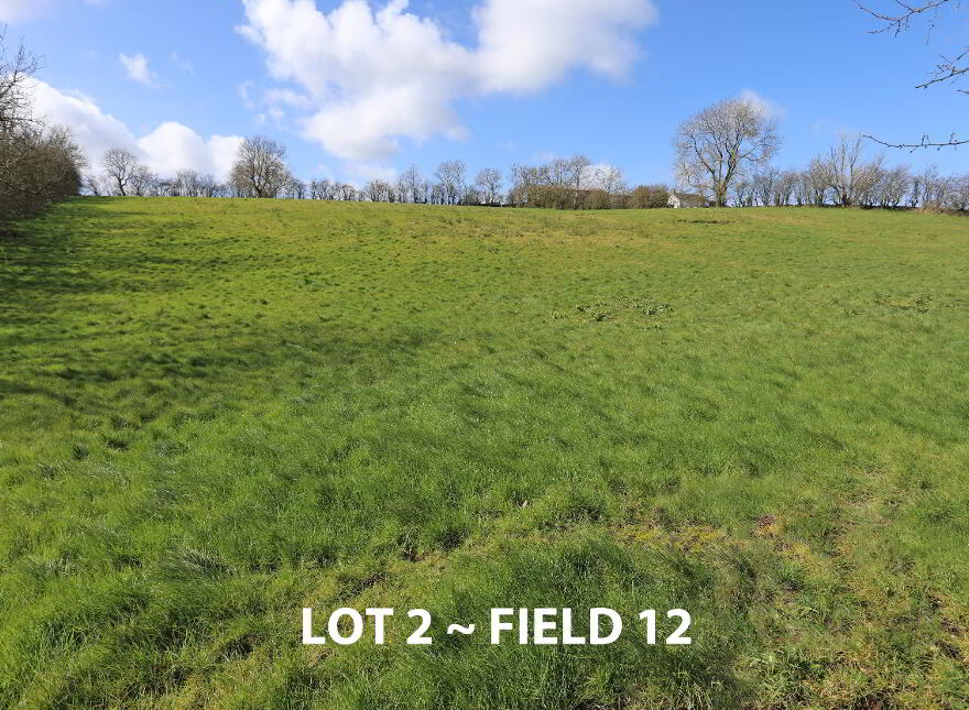 45 Lisboy Road, Kilraughts, Ballymoney, BT53 8NG