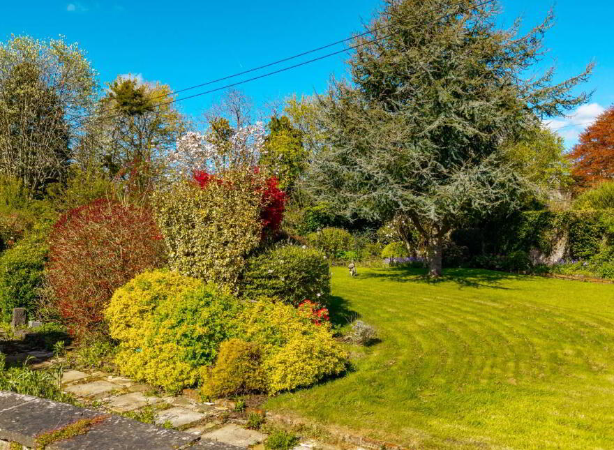 Saint Michaels Street, Tipperary Town, E34AT81