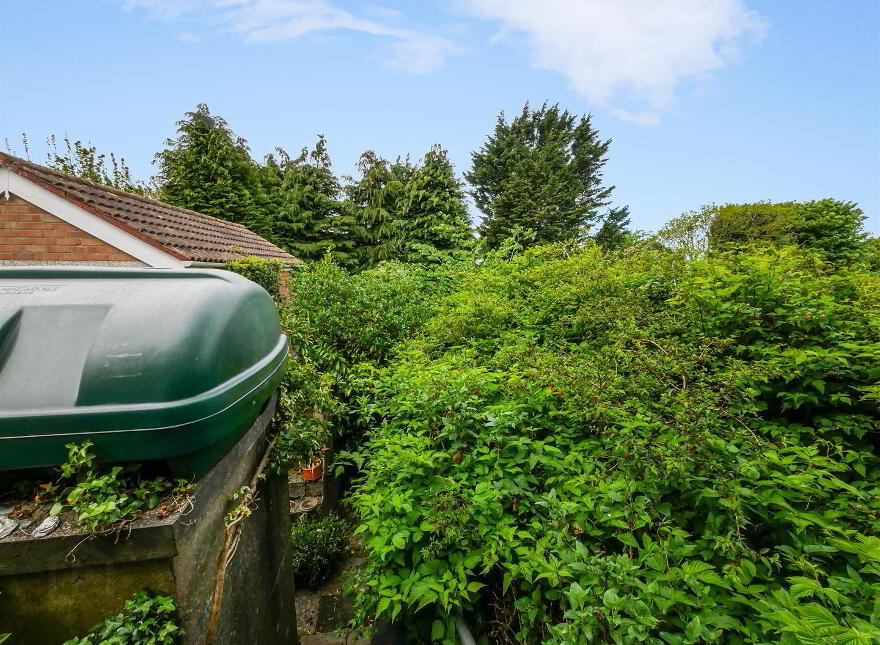 20 Ivanhoe Avenue, Saintfield Road, Carryduff, Belfast, BT8 8BN