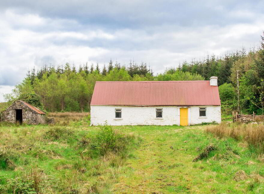 Leitrim, Frenchpark, Frenchpark, F45X462