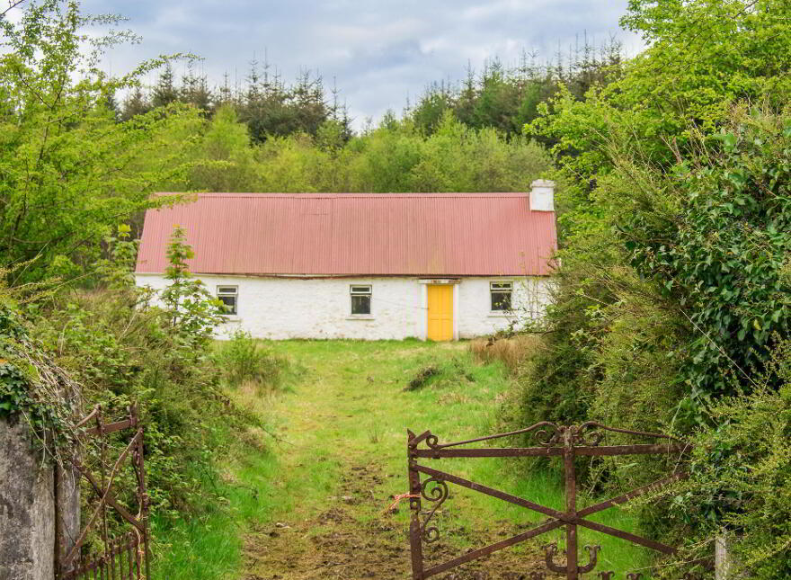 Leitrim, Frenchpark, Frenchpark, F45X462