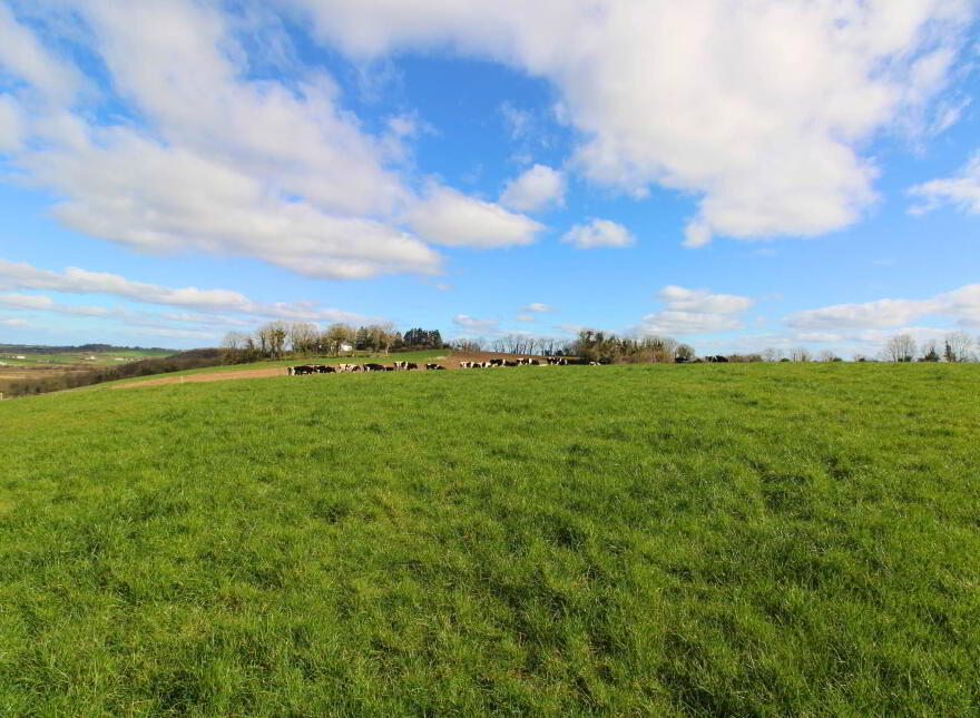 3, Johnstown, Puckane, Nenagh