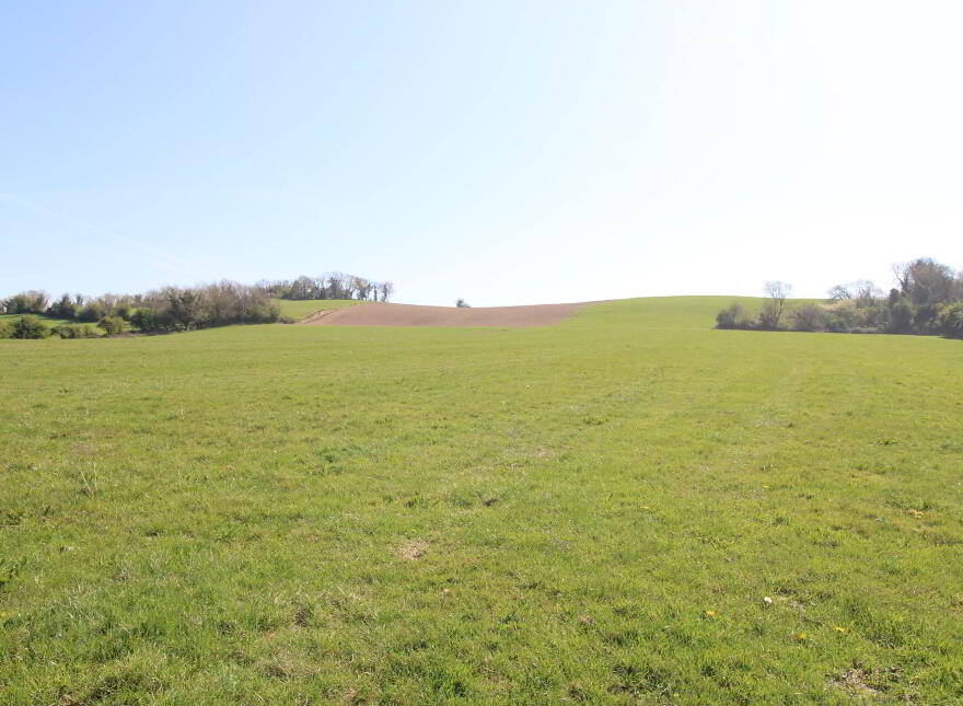 3, Johnstown, Puckane, Nenagh