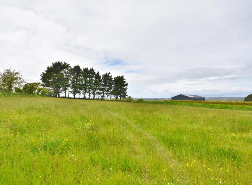 Knockane, Listowel, V31CY86