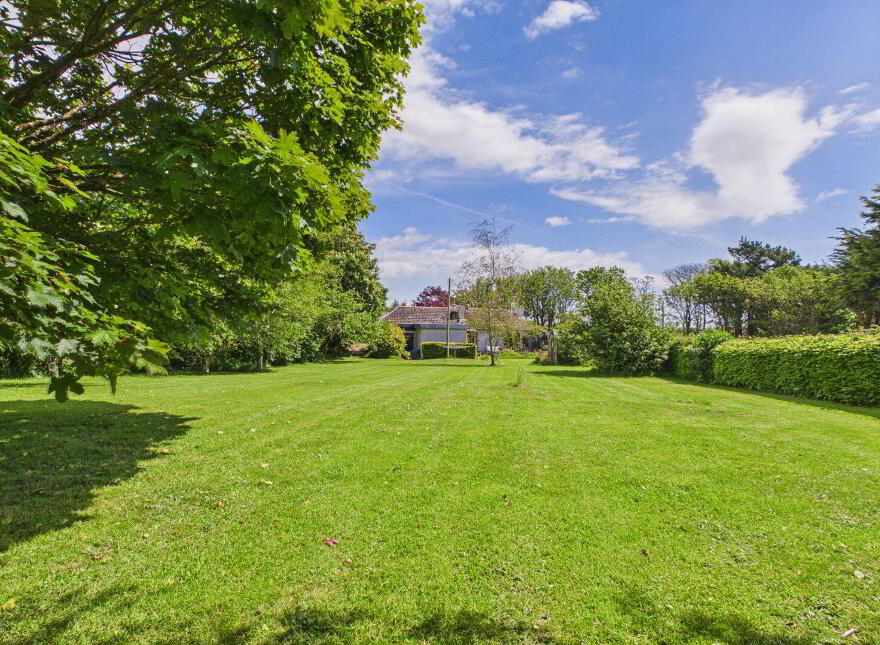 Knockroe, Passage East, X91K275