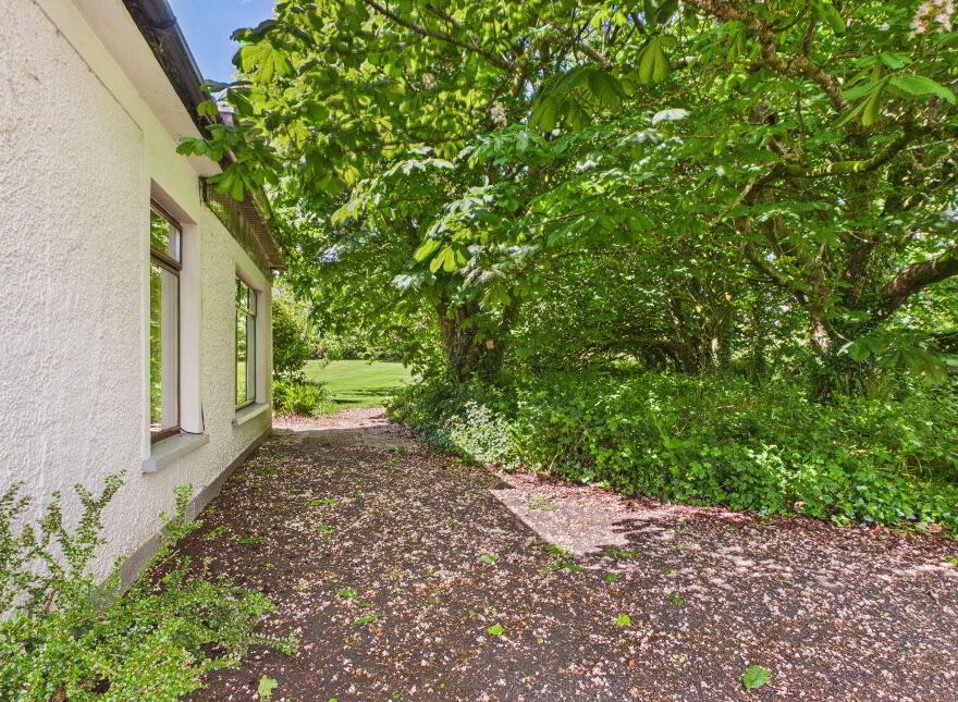 Knockroe, Passage East, X91K275