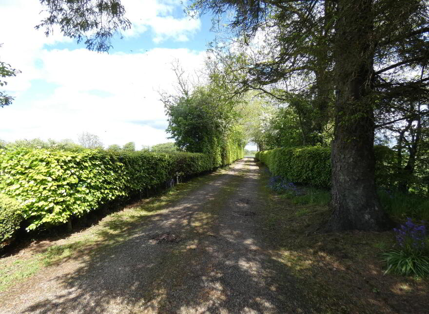 The Thatch, 75 Garryduff Road, Ballymoney, BT53 7DF