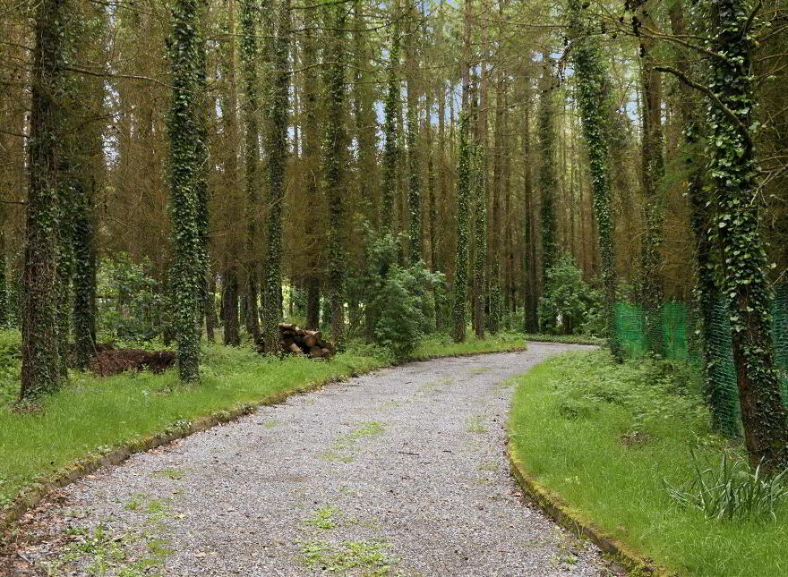 49 Crawfordstown Road, Drumaness, Ballynahinch, BT24 8LZ