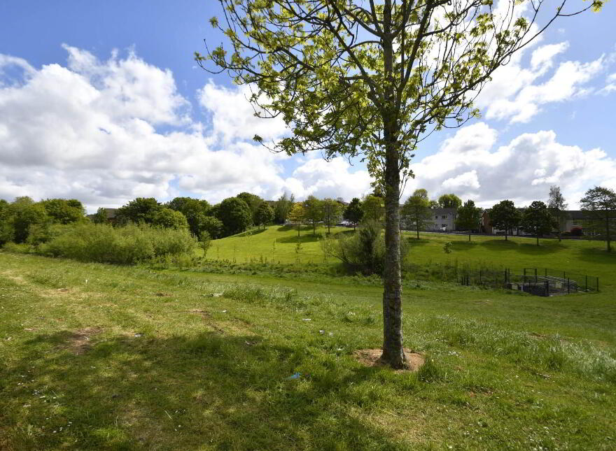 42 Glasvey Drive, Dunmurry, Belfast, BT17 0ED