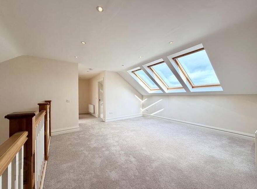 Rathkenny, Lerrig, Lerrig, V92Y8R2