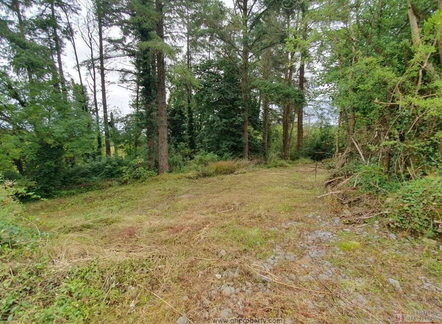 Drumany, Fenagh, N41RC67