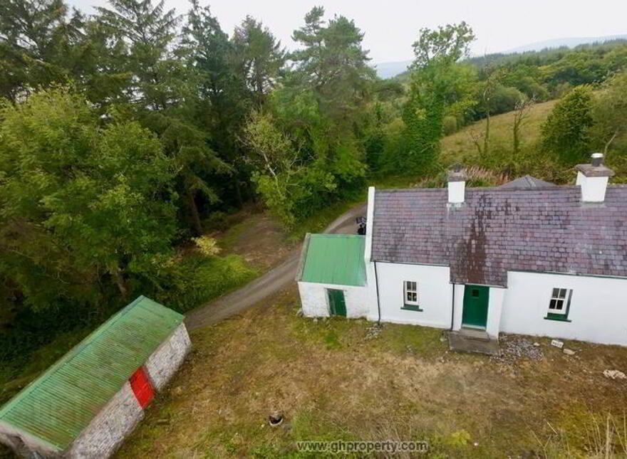 Drumany, Fenagh, N41RC67