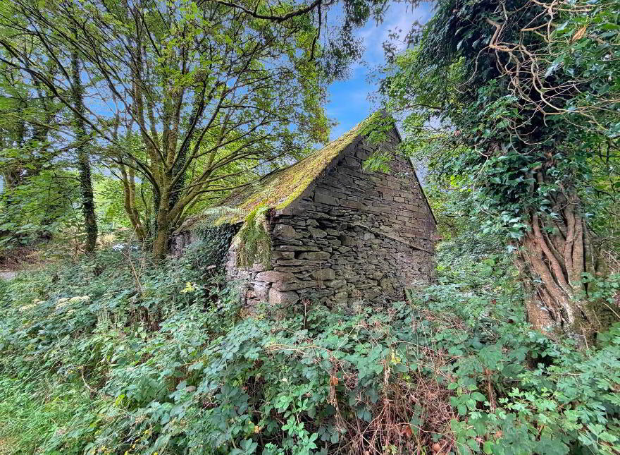 Coumbeg, Portroe, Portroe