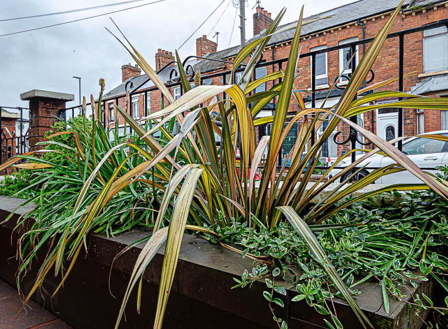 56 Oberon Street, Cregagh Road, Belfast, BT6 8NZ