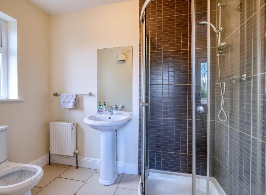 Ballagh, Newtownforbes, N39V0D6