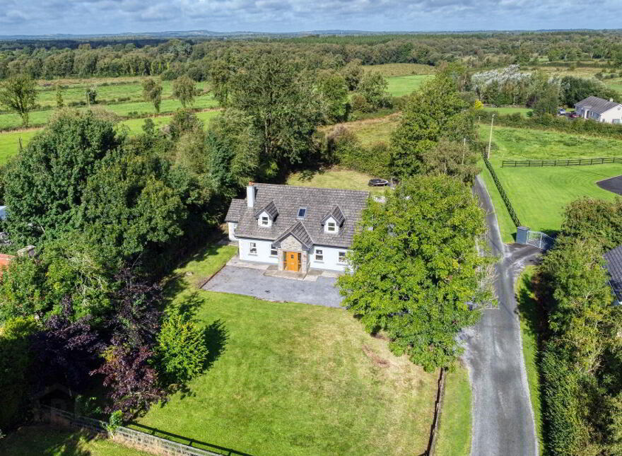 Ballagh, Newtownforbes, N39V0D6