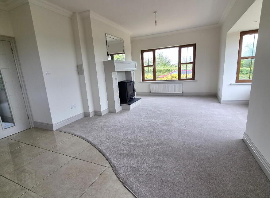 Kiltoghert, Carrick-On-Shannon, N41RT93