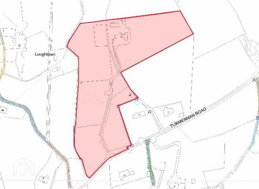Drumlin House, 17 Turmennan Road, Crossgar, BT30 9BT