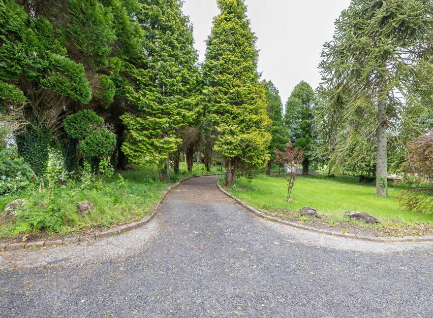 Rosemount, Aughnaskeagh, Mountnugent, A82AK49