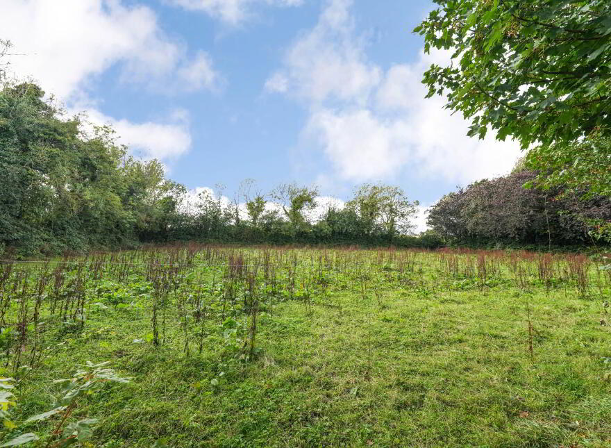 Colvinstown, Tara, C15HF62