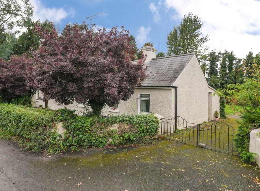 Colvinstown, Tara, C15HF62
