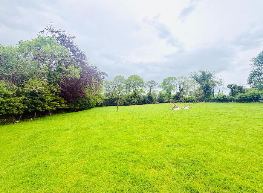 Ballydwyer West, Ballymacelligott, V92W3C8