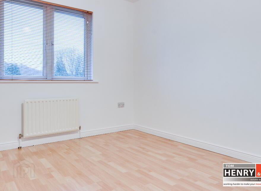 45 Hollyfields, Old Eglish Road, Dungannon, BT71 7BH