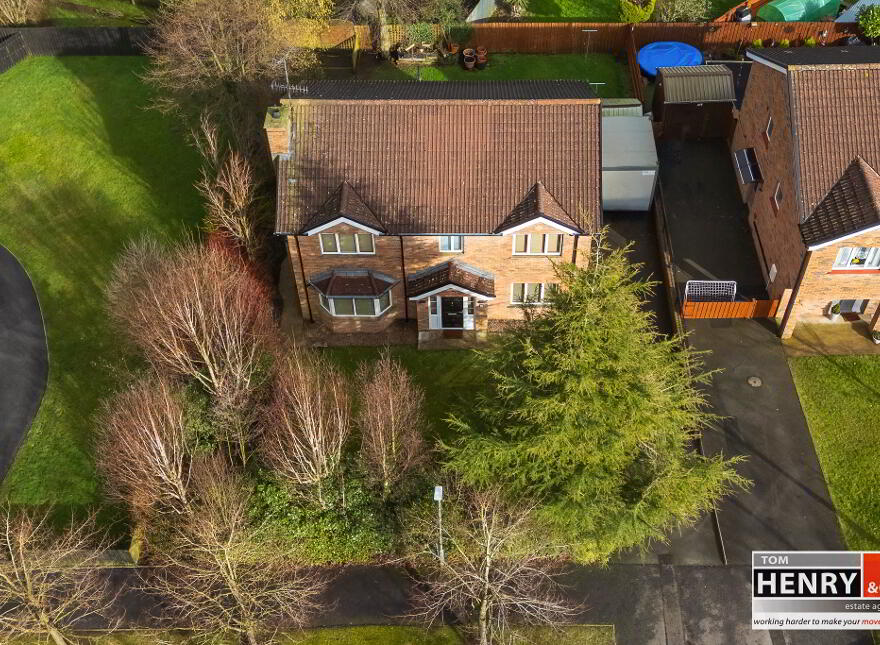 45 Hollyfields, Old Eglish Road, Dungannon, BT71 7BH