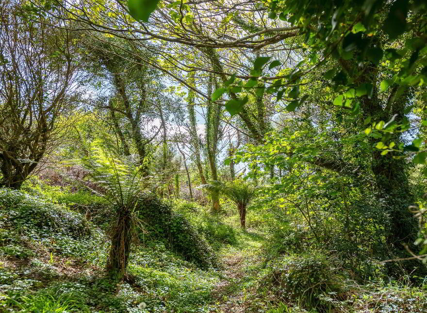 Derrynane Beg, Derrynane, Derrynane, V23KH48
