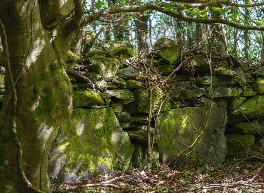 Derrynane Beg, Derrynane, Derrynane, V23KH48