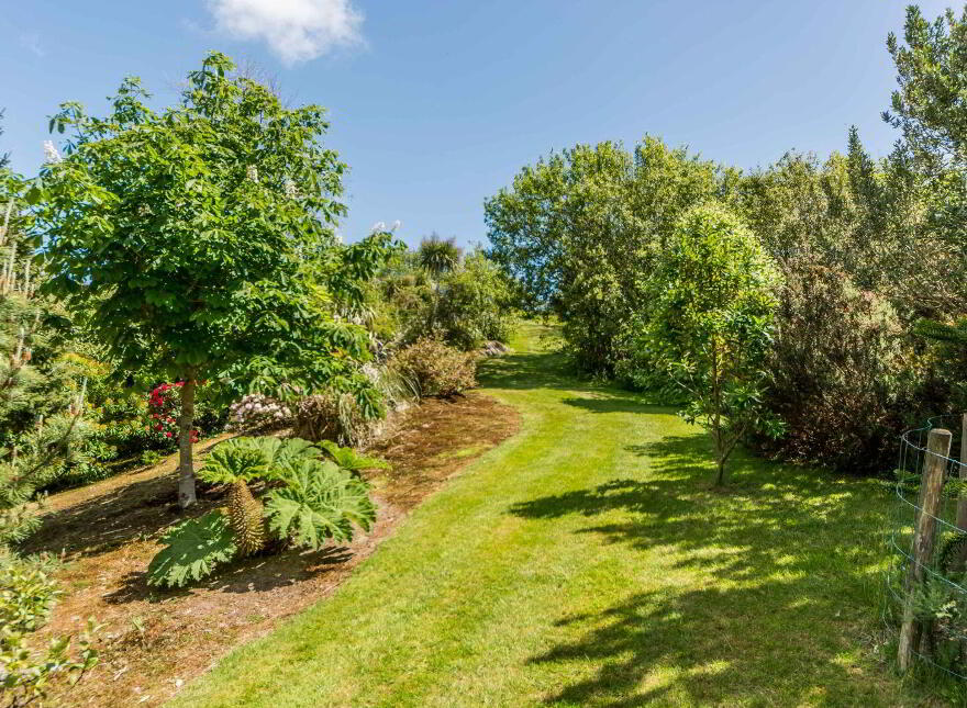 Coosheen, Schull, Ballydehob, P81X702