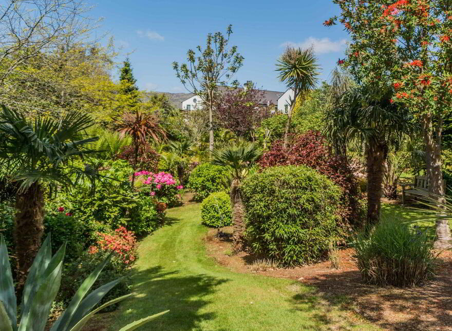 Coosheen, Schull, Ballydehob, P81X702