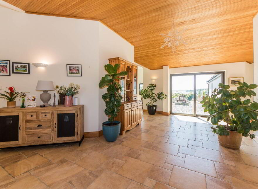 Coosheen, Schull, Ballydehob, P81X702