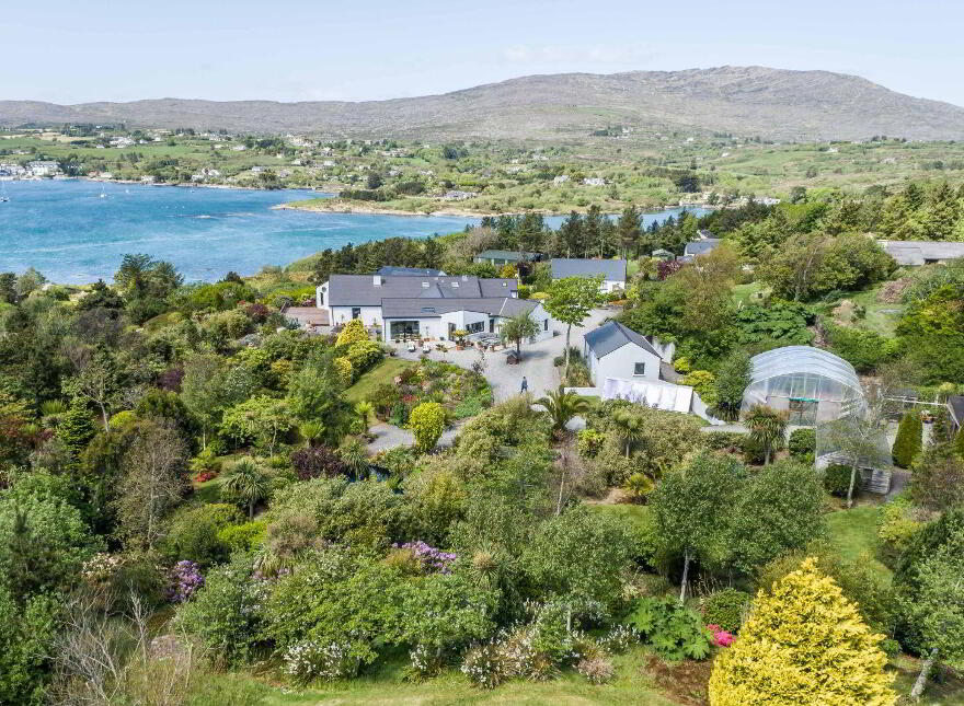 Coosheen, Schull, Ballydehob, P81X702