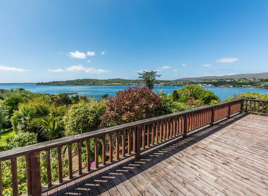 Coosheen, Schull, Ballydehob, P81X702